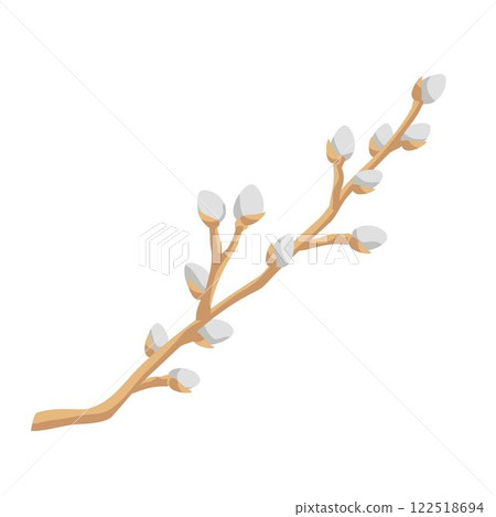 willow branche with soft fluffy catkins 122518694