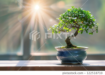 A beautiful bonsai tree capturing sunlight and showcasing intricate foliage. A beautiful bonsai tree capturing sunlight and showcasing intricate foliage. 122518710