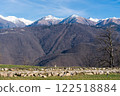 Early December in the Caucasus: Majestic Snowy Peaks at Krasnaya Polyana 122518884