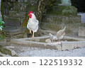 一隻雞在石鳥雕像旁擺姿勢 122519332