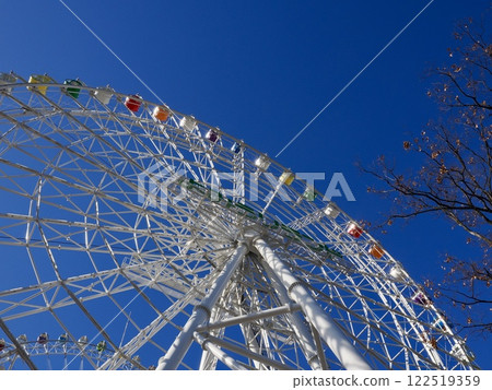 Ferris wheel  122519359