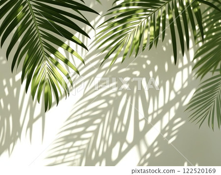 Palm Leaf Shadows on White Wall Palm Leaf Shadows on White Wall 122520169
