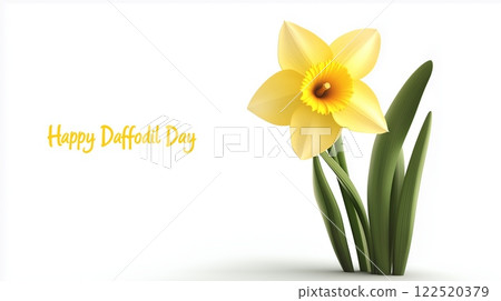 Happy Daffodil Day text with a bright yellow daffodil on a white background, symbolizing springtime and renewal 122520379