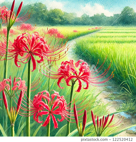 鄉村風景與紅花石蒜 | 描繪日本美麗秋天的水彩插圖 122520412