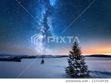 "Christmas Tree" Milky Way, Snow Field, Winter 122520536