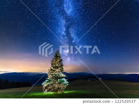 "Christmas Tree Tree" Summer Illumination 122520537