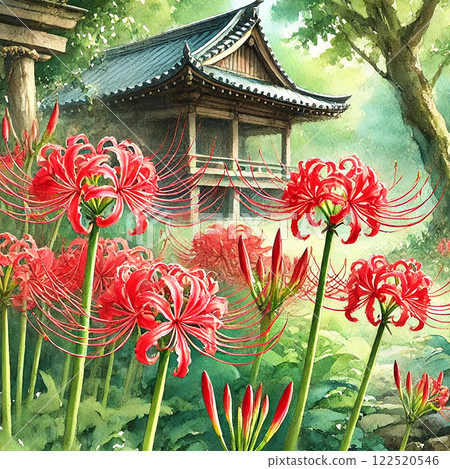 Shrine and red spider lilies | Watercolor landscape illustration depicting traditional Japanese beauty Shrine and red spider lilies | Watercolor landscape illustration depicting traditional Japanese beauty 122520546