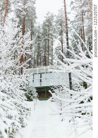 beautiful country house in a snowy pine forest, night lighting, winter fairy tale 122520707