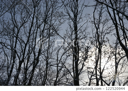 昨晚雪停後的早晨風景 岐阜縣立毛 122520944