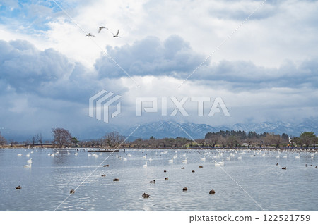 Niigata Morning Hyoko Lake (Agano City) 122521759