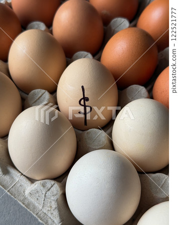 Dollar sign drawn on egg  122521777
