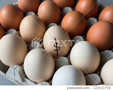 White and brown eggs in paper carton with a dollar sign written  122521778