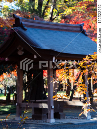 Autumn scenery in Japan: Vividly colored autumn leaves in the temple grounds 122522962