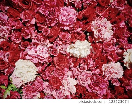A wall of passionate roses and gorgeous peonies A wall of passionate roses and gorgeous peonies 122523074