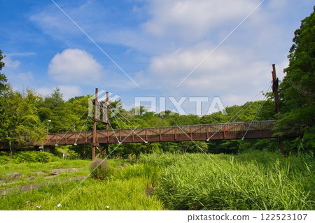 [大和市] 泉之森 - 綠橋 122523107