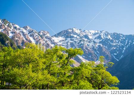 上高地、河童橋地區、穗高山脈“新綠風景” 122523134