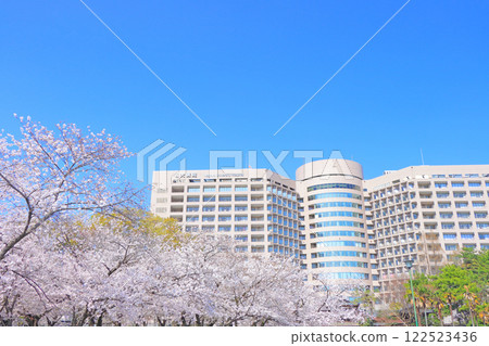 Cherry blossoms at Tsuruma Park and Nagoya University Hospital, Nagoya City, Aichi Prefecture Cherry blossoms at Tsuruma Park and Nagoya University Hospital, Nagoya City, Aichi Prefecture 122523436