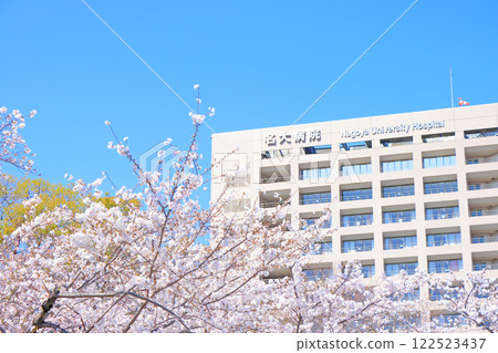 愛知縣鶴舞公園和名古屋大學醫院的櫻花 愛知縣鶴舞公園和名古屋大學醫院的櫻花 122523437