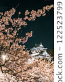 燈火通明的櫻花和大阪城 122523799