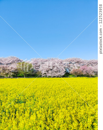 Gyodo神社 Gyodo神社 122523958