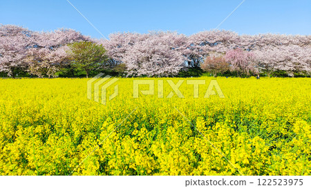 Gyodo Shrine Gyodo Shrine 122523975