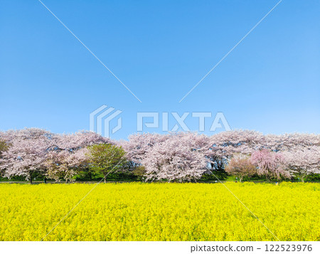Gyodo Shrine Gyodo Shrine 122523976