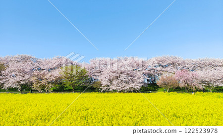 Gyodo神社 122523978