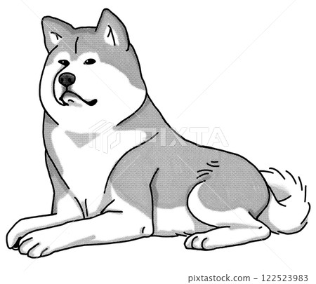 秋田犬，黑白，透明背景，狗狗插圖 122523983