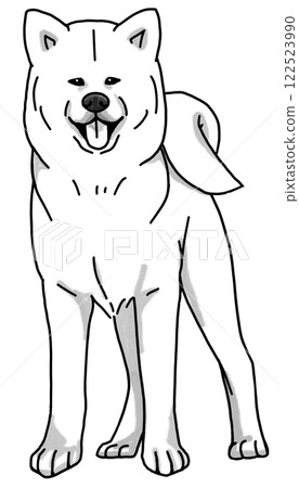 Akita dog, black and white, transparent background, dog illustration 122523990
