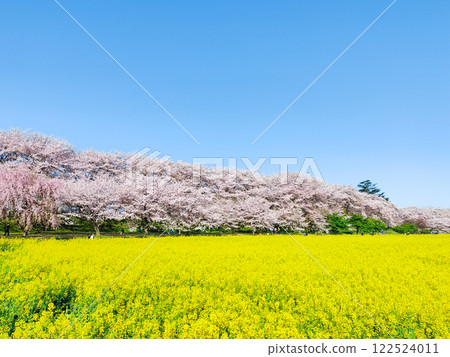 Gyodo神社 Gyodo神社 122524011