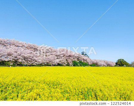 Gyodo神社 122524014
