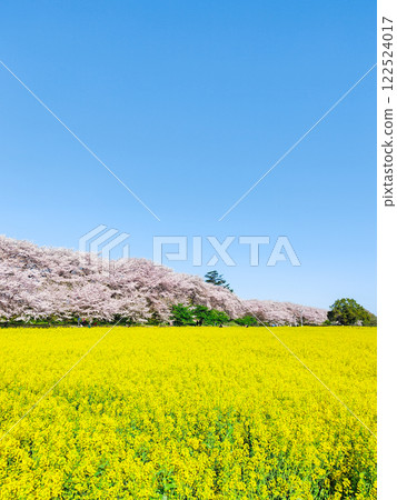 Gyodo神社 122524017