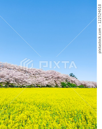 Gyodo神社 Gyodo神社 122524018