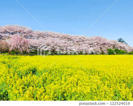Gyodo神社 122524019