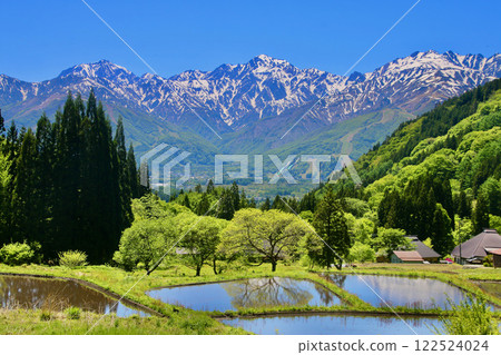 梯田、北阿爾卑斯山和青黃村(長野縣白馬村) 梯田、北阿爾卑斯山和青黃村(長野縣白馬村) 122524024