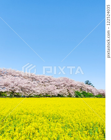 Gyodo Shrine Gyodo Shrine 122524035