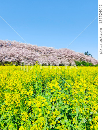 Gyodo神社 122524042