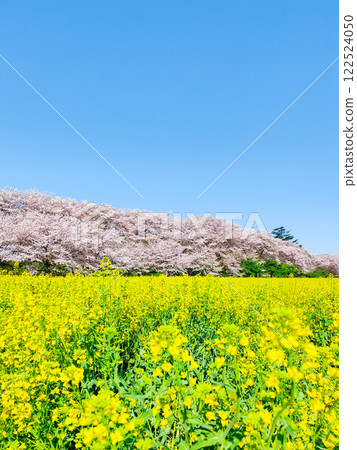 Gyodo神社 Gyodo神社 122524050