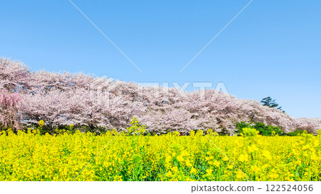 Gyodo Shrine Gyodo Shrine 122524056