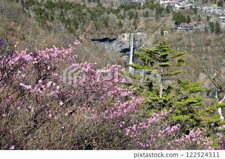 Azalea flowers blooming near the Oku-Nikko Myochidaira Observatory and Kegon Falls Azalea flowers blooming near the Oku-Nikko Myochidaira Observatory and Kegon Falls 122524311