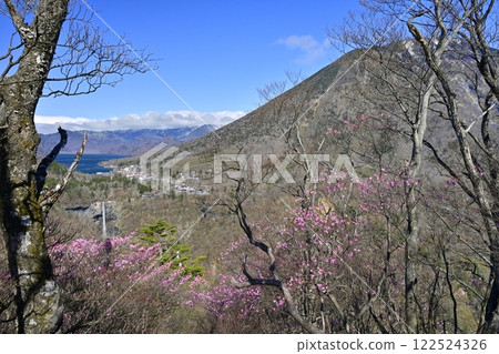 奧日光妙平展望台、華嚴瀑布、中禪寺湖、男體山附近盛開的杜鵑花 奧日光妙平展望台、華嚴瀑布、中禪寺湖、男體山附近盛開的杜鵑花 122524326