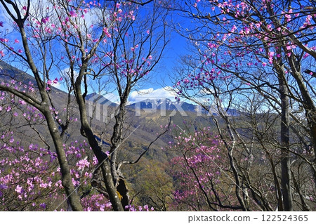 奧日光妙知平展望台及如峰山附近盛開的赤潮杜鵑 122524365