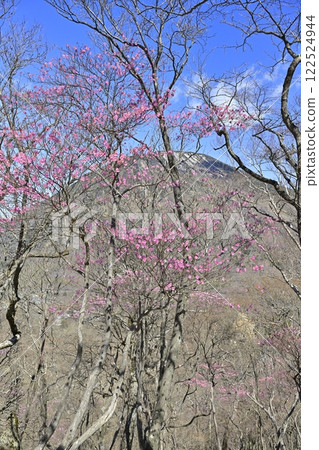 Mount Nantai with red azalea flowers blooming along the Chanokidaira Promenade in Oku-Nikko 122524944