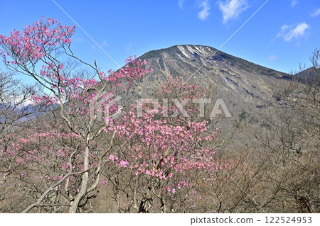 Mount Nantai with red azalea flowers blooming along the Chanokidaira Promenade in Oku-Nikko 122524953
