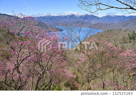 Lake Chuzenji and Mount Nikko Shirane with Akayashio Azalea flowers blooming near the Oku-Nikko Chanoki-daira Observation Point (Platform) Lake Chuzenji and Mount Nikko Shirane with Akayashio Azalea flowers blooming near the Oku-Nikko Chanoki-daira Observation Point (Platform) 122525163