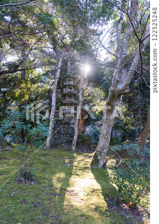Stone lanterns at Naritasan Park 122525248