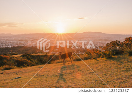 [若草山] 奈良市的美麗夕陽 122525287
