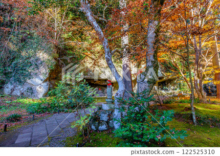 Entsuin Temple and Caves in late autumn (Matsushima Town, Miyagi County, Miyagi Prefecture) Entsuin Temple and Caves in late autumn (Matsushima Town, Miyagi County, Miyagi Prefecture) 122525310