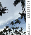 Palm trees and sky landscape 122525493