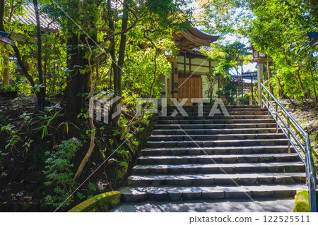 [Ogami Shrine] Nara's number one power spot 122525511